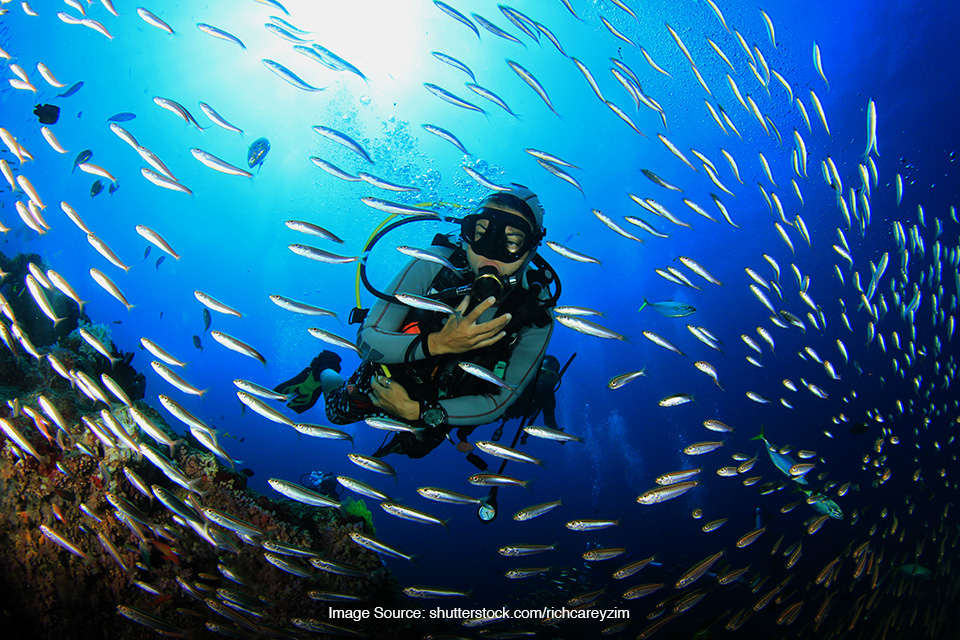 Tips Tepat Antisipasi Vertigo Saat Scuba Diving SUPERLIVE