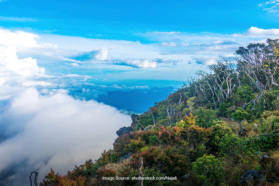 Gunung Bawakaraeng, dari Jalur Pendakian Hingga Kisah Menarik | SUPERLIVE