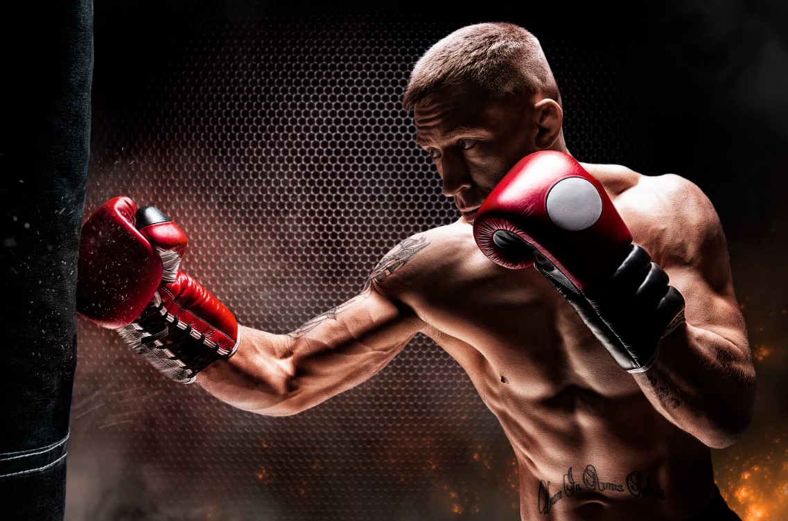 Mixed Martial Arts, Combat Sport yang Menggabungkan Berbagai Ilmu Bela Diri