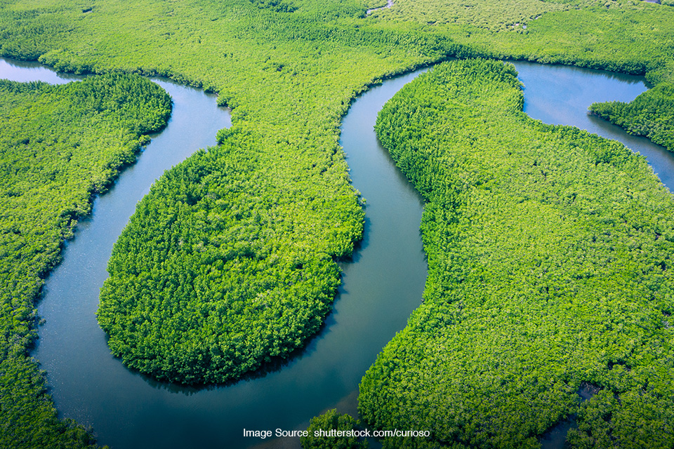 sungai Amazon