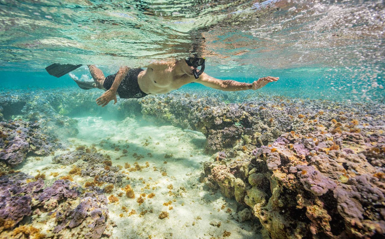 Foto: Tips Penting Buat Lo yang Nggak Mau Repot Packing Alat Snorkeling