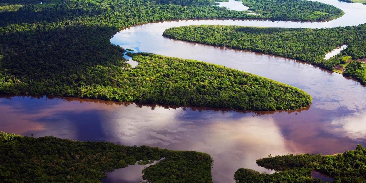 5 Fakta Menarik  Mengenai Sungai Amazon Buat Lo Ketahui!