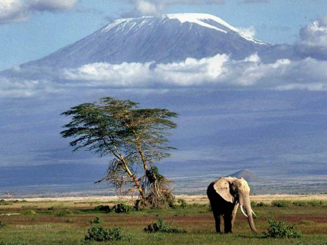 Fakta Menarik Gunung Kilimanjaro