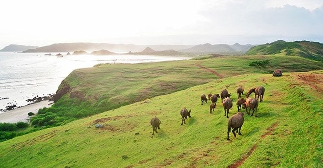 Perhatikan Waktu Kunjungan